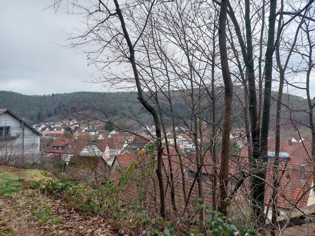 Ferienwohnung Unterm Rappenfels Hinterweidenthal Екстер'єр фото